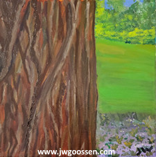 More info on JW Goossen's Morning Dove painting from his Random Paintings Series...